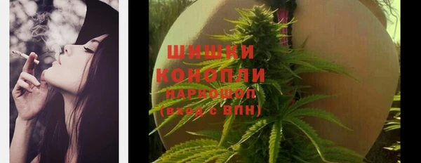 гашик Тобольск