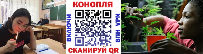 Шишки марихуана SATIVA & INDICA  где купить   Сочи 